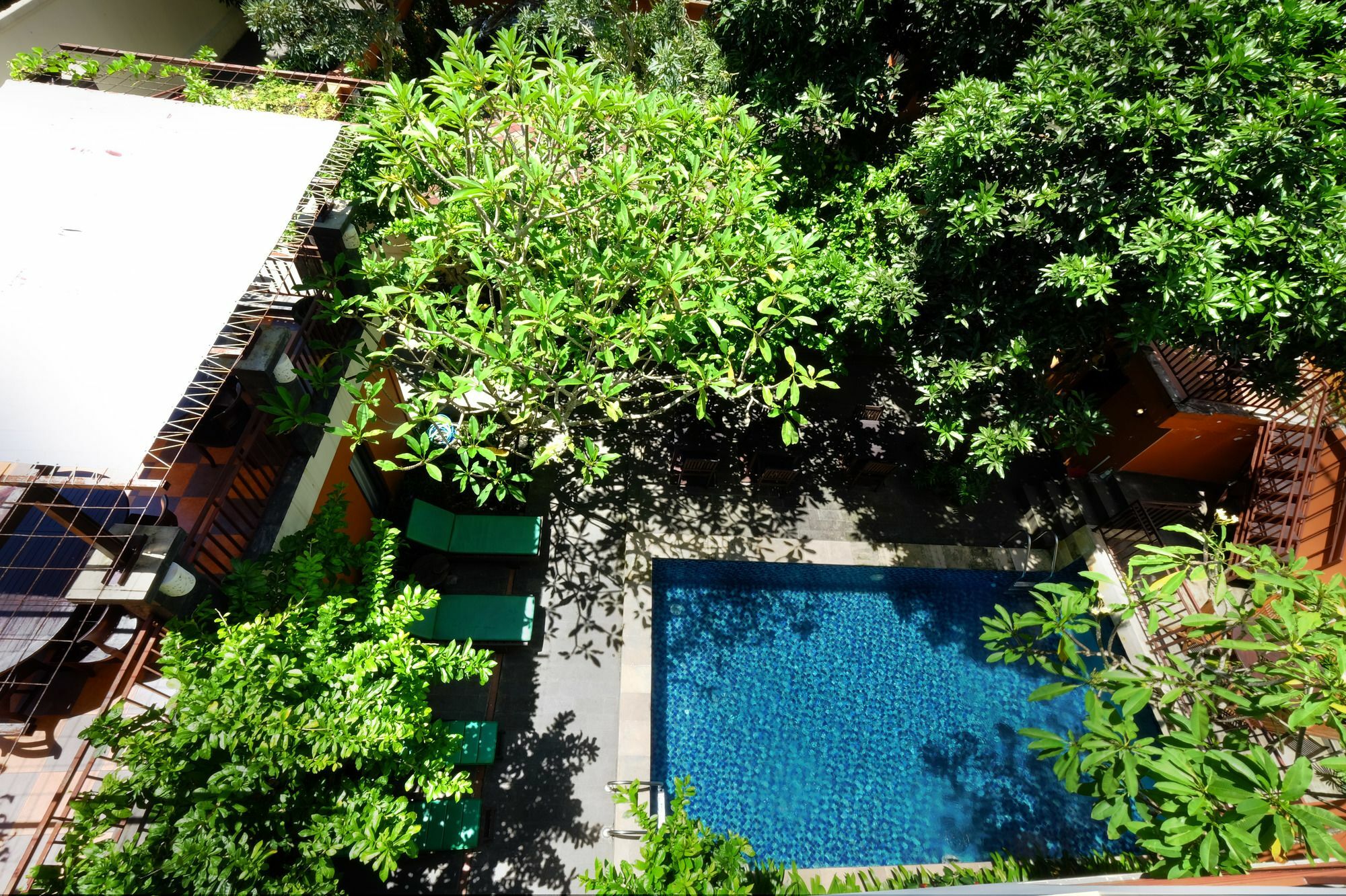 Homestay The Hill Ungasan