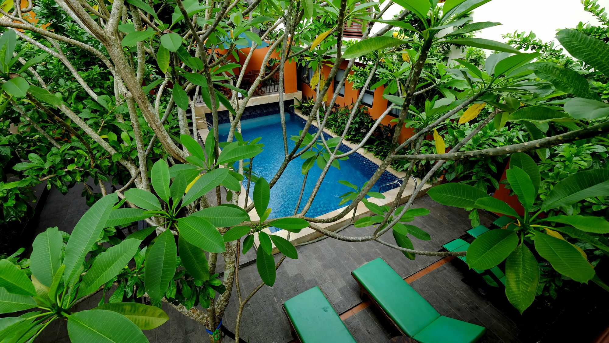 The Hill Ungasan Homestay Uluwatu (Bali)